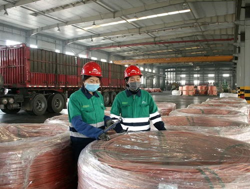 陜西優質產品揚帆出海，開拓國際市場新篇章