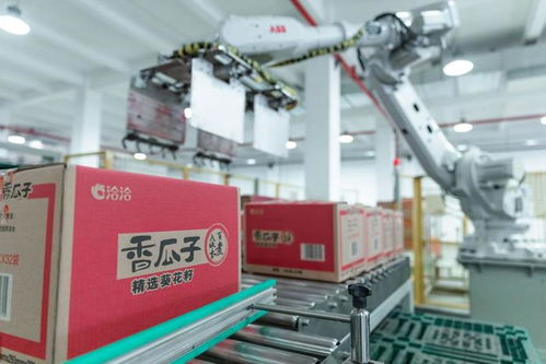 走進洽洽透明工廠，看一顆堅果如何驅動陜西外貿新質生產力